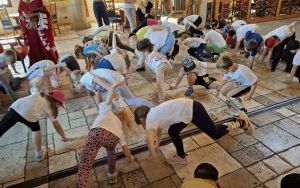 Warownia Pszczyńskich Rycerzy (15)
